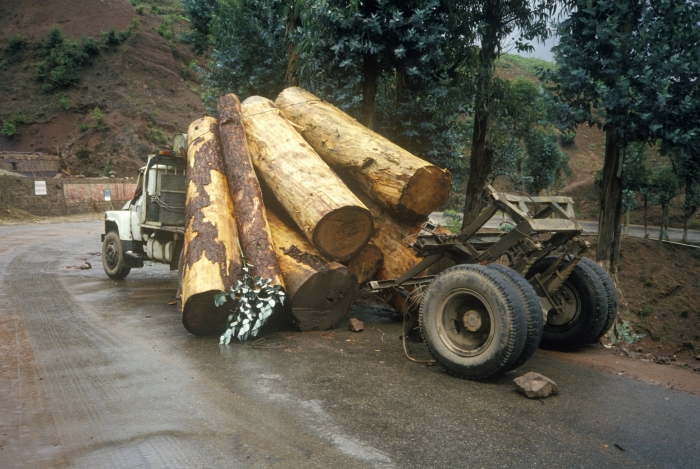 Logging truck accidental